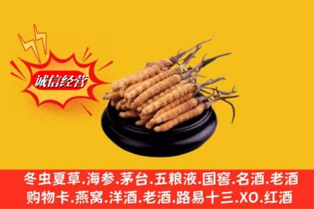 许昌市建安求购回收虫草多少钱每克